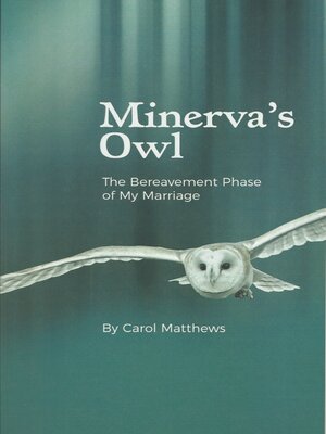 cover image of Minerva's Owl